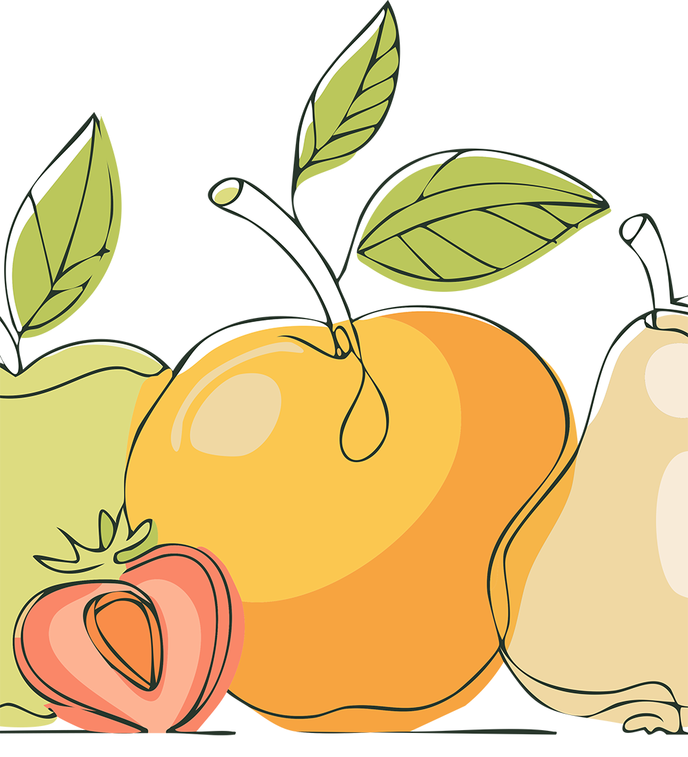 A line drawing of fruits, to show fruity scents