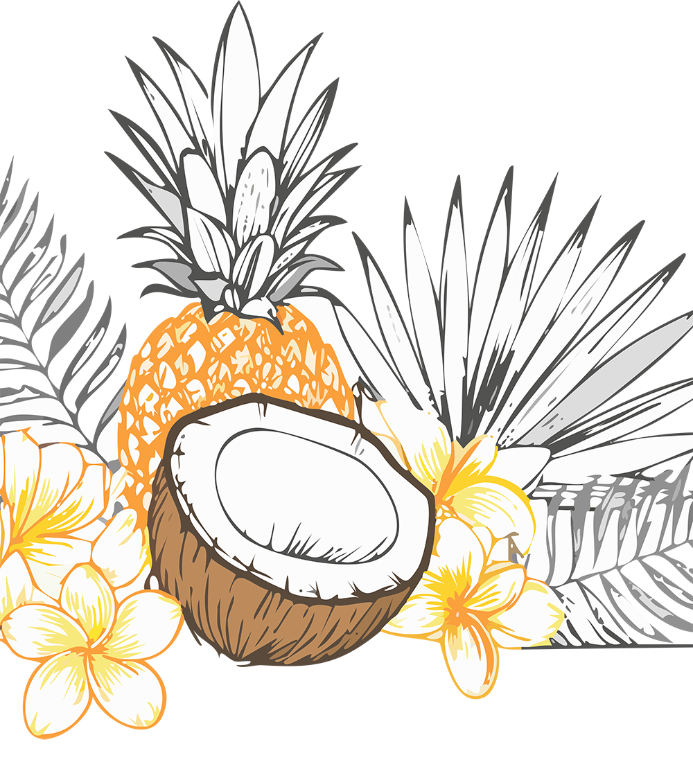 Pineapples, coconuts and palm leaves to indicate tropical fragrances