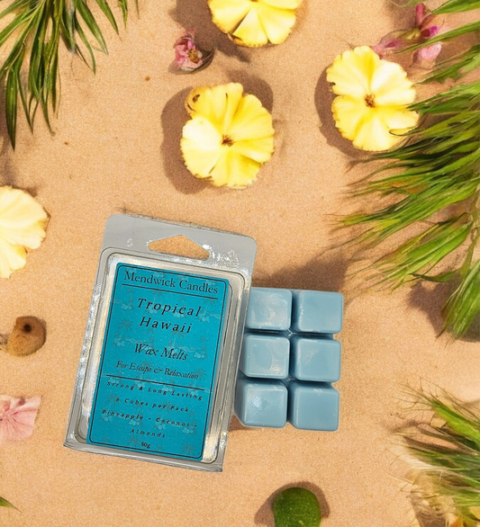 Tropical Hawaii wax melt shown on sand with pines and coconut pieces